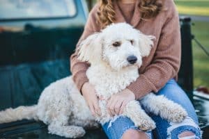 white dog and woman on cargo bed