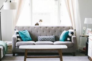 gray living room sofa with cat